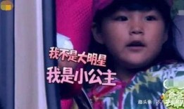 娱乐吃瓜酱想爸爸,揭秘“想爸爸”背后的感人故事